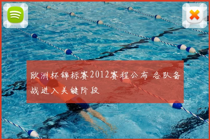 欧洲杯锦标赛2012赛程公布 各队备战进入关键阶段