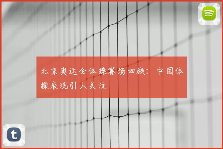 北京奥运会体操赛场回顾：中国体操表现引人关注