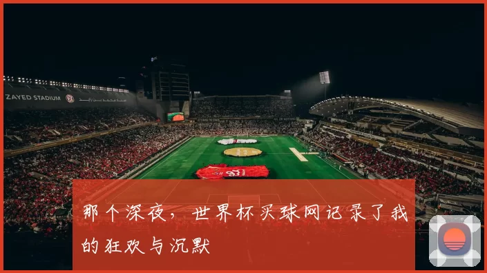 那个深夜，世界杯买球网记录了我的狂欢与沉默