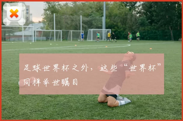 足球世界杯之外,这些“世界杯”同样举世瞩目