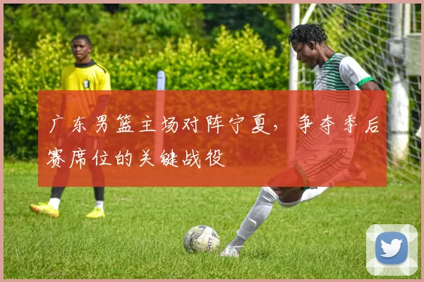广东男篮主场对阵宁夏,争夺季后赛席位的关键战役