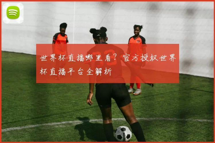 世界杯直播哪里看?官方授权世界杯直播平台全解析