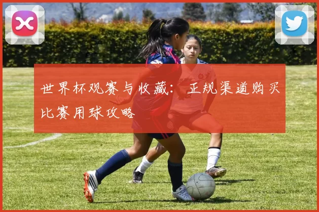 世界杯观赛与收藏：正规渠道购买比赛用球攻略