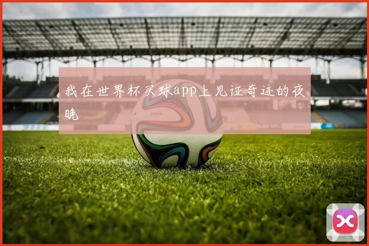 我在世界杯买球app上见证奇迹的夜晚