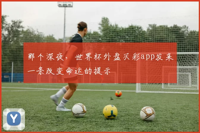 那个深夜，世界杯外盘买彩app发来一条改变命运的提示