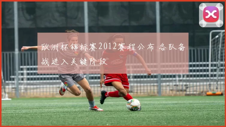 欧洲杯锦标赛2012赛程公布 各队备战进入关键阶段