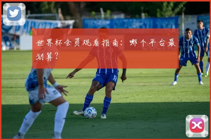 世界杯会员观看指南:哪个平台最划算?