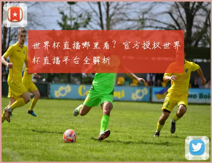 世界杯直播哪里看?官方授权世界杯直播平台全解析