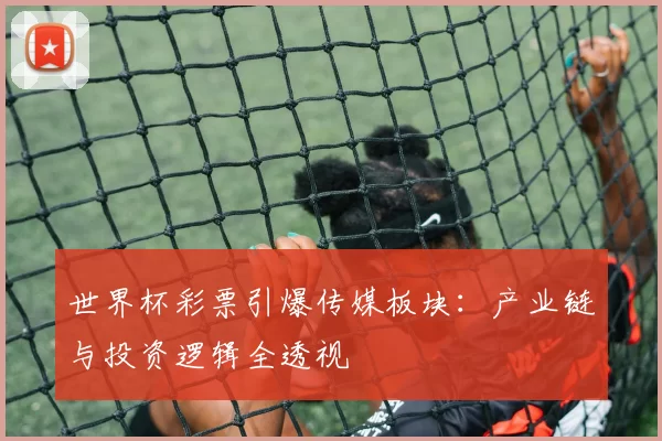 世界杯彩票引爆传媒板块：产业链与投资逻辑全透视