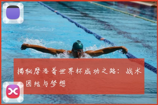 揭秘摩洛哥世界杯成功之路：战术、团结与梦想